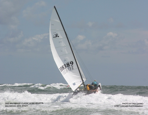 Hobie 18 sailing yacht boat surf wakeboard windsurf vinyl sticker 200mm 